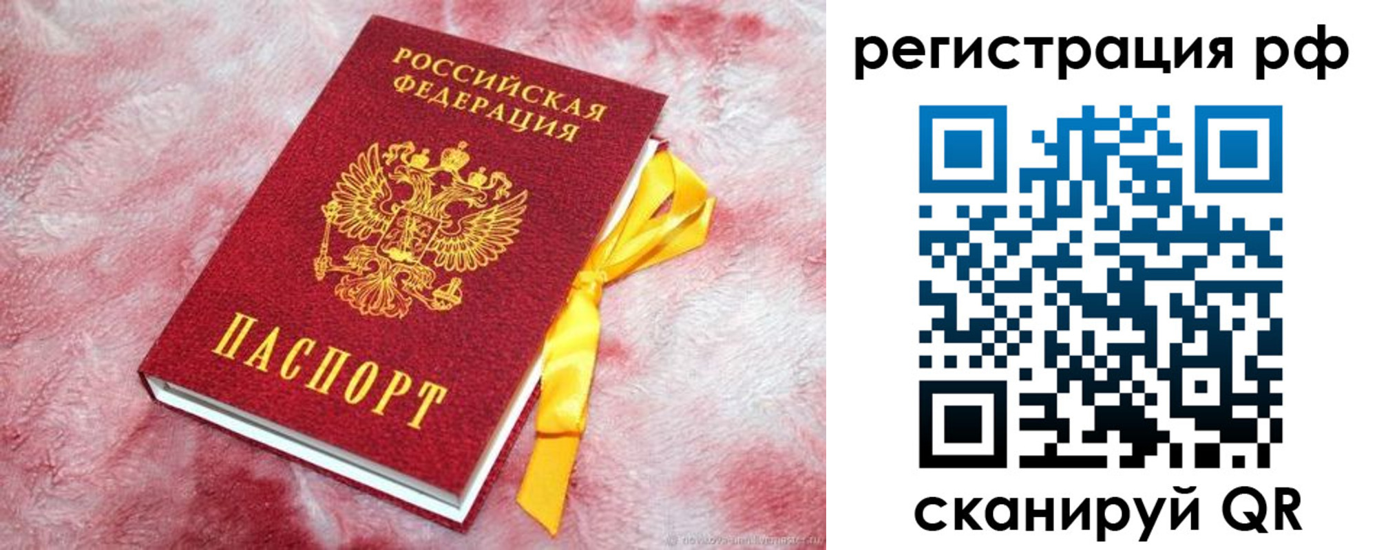 прописка в Вязниках